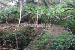 Tanah di Go ATV Adventure, Jl. Raya Singapadu, Singapadu Kaler, Sukawati, Gianyar, Bali, Indonesia, 80582, Ubud SHM 5.0 are