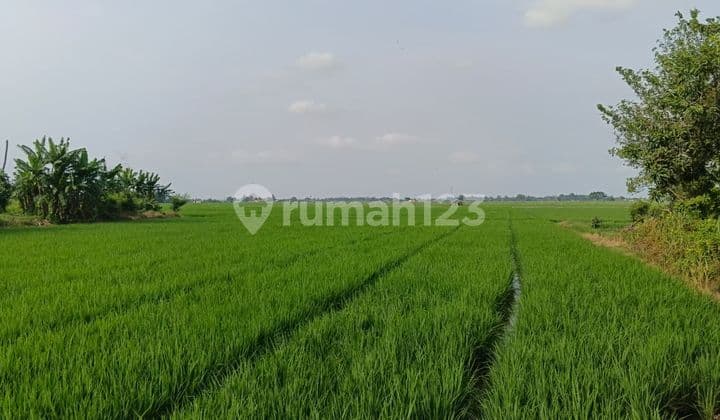 Land at the Side of the Main Road Suitable for Warehouse or Business