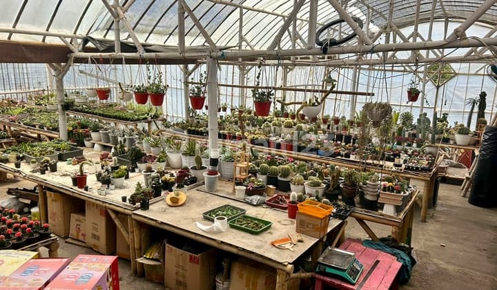 Quick and Cheap Sale: Exclusive Fully Furnished House/Villa + Bonus Active Agribusiness Office in Lembang, Bandung.