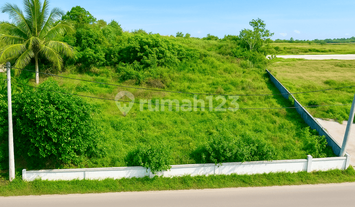 Tanah Dijual Murah Dan Cepat Luas 1.968 M² Shm Di Jalan Sarwani, Mekarsari Jambe – Tangerang