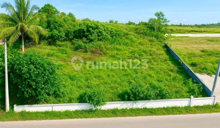 Tanah Dijual Murah Dan Cepat Luas 1.968 M² Shm Di Jalan Sarwani, Mekarsari Jambe – Tangerang