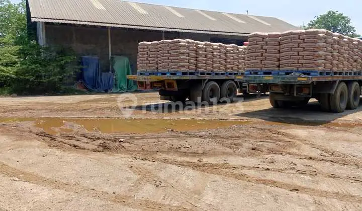 Dijual Murah Tanah Bonis Bangunan Marunda Cilincing Jakarta Utara