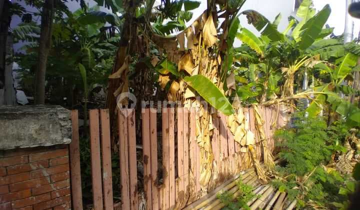 Kavling Lokasi Favorit di Pluit Timur Jakarta Utara