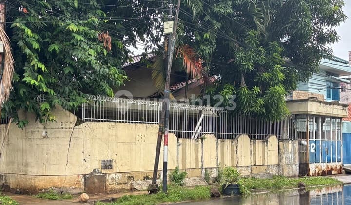 Sewa Kan Cepat Rumah Tua Bagus Besar Jalan Luas.di Sunter Alamanda Jakut