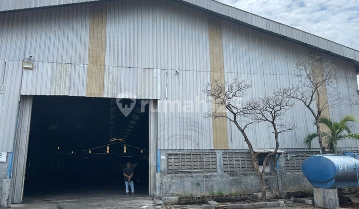Dijual Pabrik Plywood di Kaliwungu Kendal Jawa Tengah