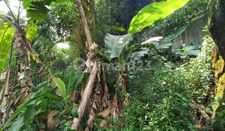 Dijual Tanah Zona Hijau di Daerah Banyubiru Kabupaten Semarang