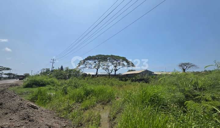 Dijual Tanah Kosong di Kawasan Industrial Semarang