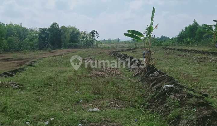 Dijual Cepat Tanah Di Daerah Sepat Masaran Sragen