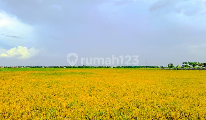 Tanah Strategis Serang Banten dekat RS Balaraja, Kawasan Industri
