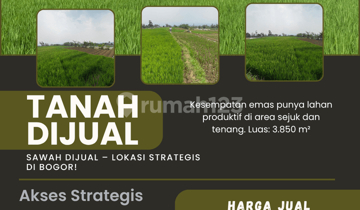 SAWAH DIJUAL - LOKASI STRATEGIS DI BOGOR!