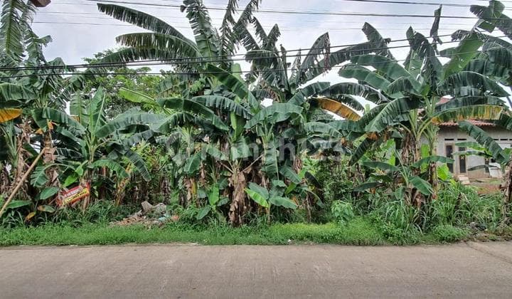 1.6jt Rawakalong Gn. Sindur Tanah 1155m² Shm