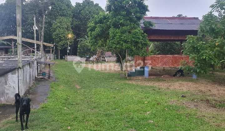 2.2B Gunung Sindur Land 9,500M² With Residential House