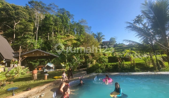Villa and Swimming Pool Cikalong West Java