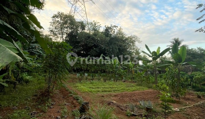 Dijual Tanah Kosong Sudah SHM Dekat Sdn di Jl Raya Puspitek, Setu