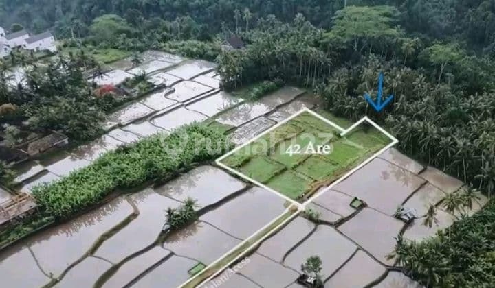 Tanah Jual Lokasi Pejeng