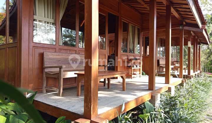 Tanah dan Bangunan Kayu Desa Payangan Gianyar Bali,5 Unit