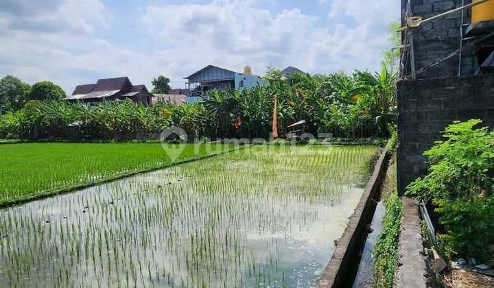Tanah Premium View Sawah Persada Kerobokan Dekat Bali Kidi