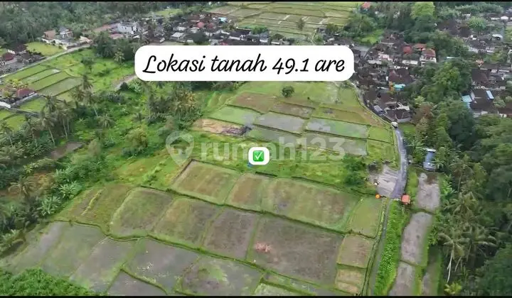 Ready-to-Build Land in Yellow Zone, Jl Cinta Tegalalang, Ubud, Bali