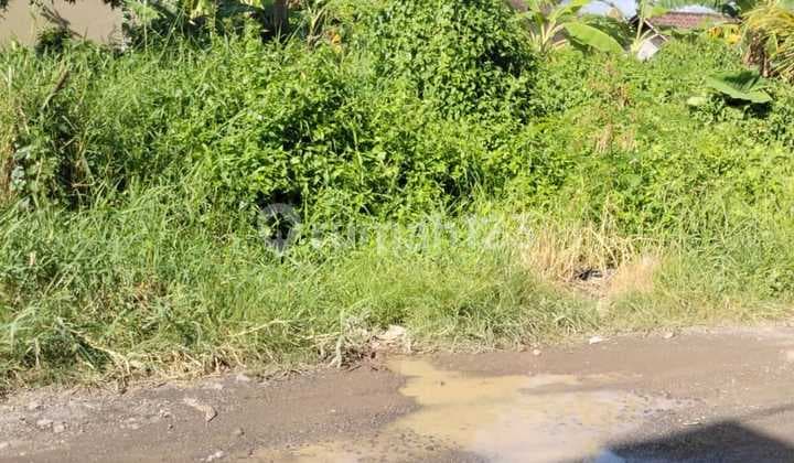 Tanah SHM Itr Kuning Munggu Pemaron Badung Bali