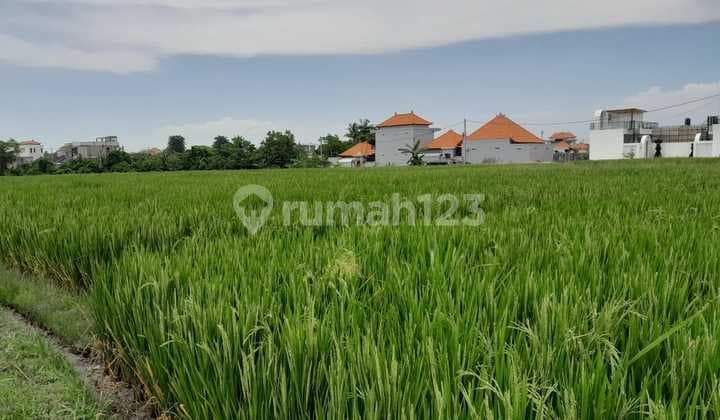 Tanah Langka Zona Pariwisata Pantai Seseh Munggu Badung Bali