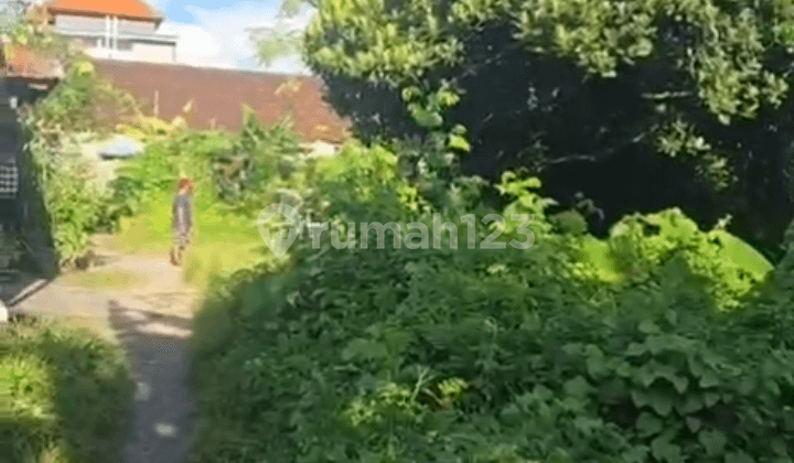 Cheap Land Ready to Build, Nangka Utara, North Denpasar