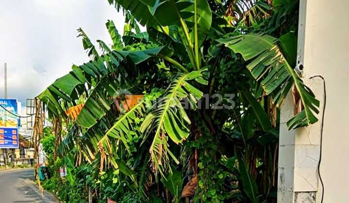 Premium Land in the Berawa Tourism Area Near Canggu, Bali