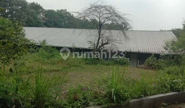 Pabrik Bagus Lahan Luas