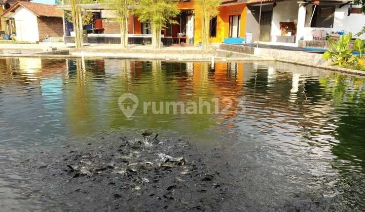 Rumah N Kost Dijual 3 Bangunan