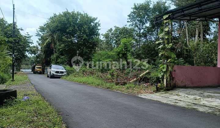 Tanah Kalasan SHM Pekarangan, Asri View Persawahan