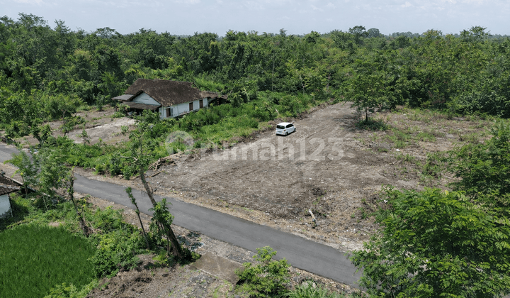 Tanah Jogja, View Asri Perkebunan Tepi Jalan Cangkringan