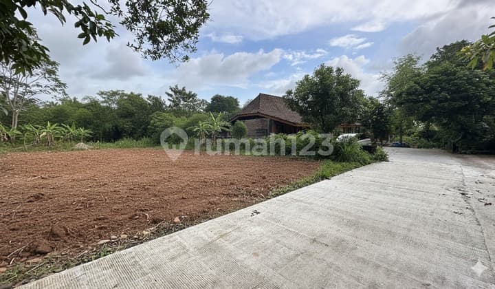 Tanah Sleman Dekat Kampus Uii Jalan Kaliurang Cicilan Tanpa Bunga