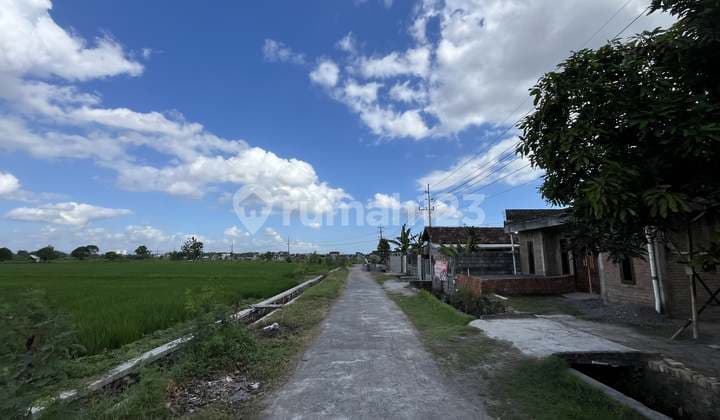 Tanah Godean Asri View Sawah, Dekat Al Azhar Ringroad Utara
