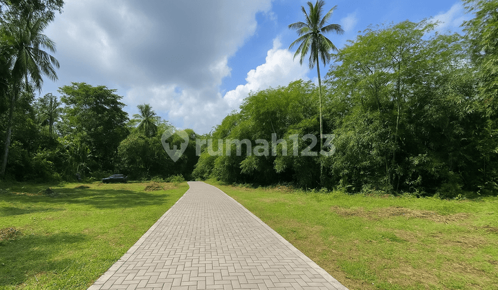 Tanah Sleman Strategis, Dekat GOR Tridadi Bisa dicicil Tanpa Bunga