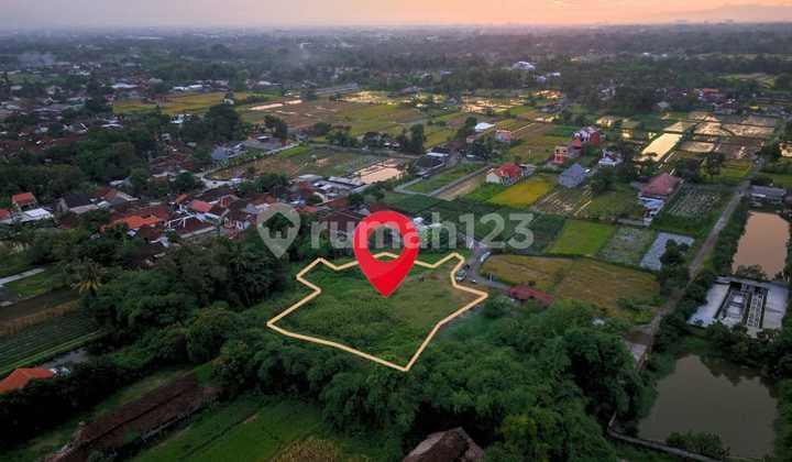 Tanah Sleman Asri, 200M Tepi Jalan Purwomartani