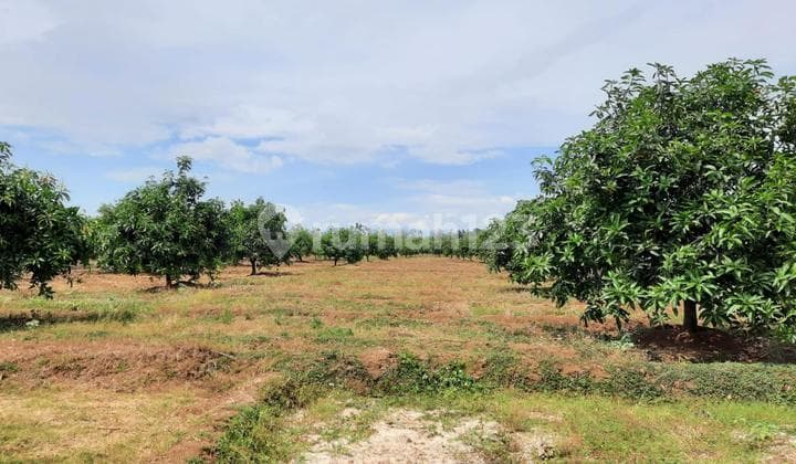 Land for Sale in Sumedang – Below Market Price!