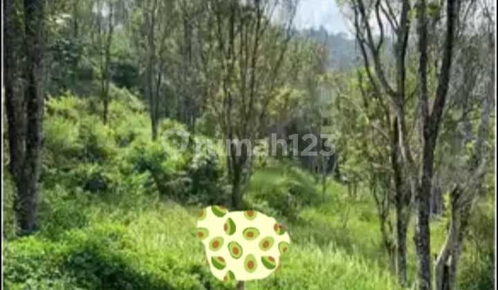Dijual Tanah Kavling Green City Resort – Sindanglaya, Cimenyan