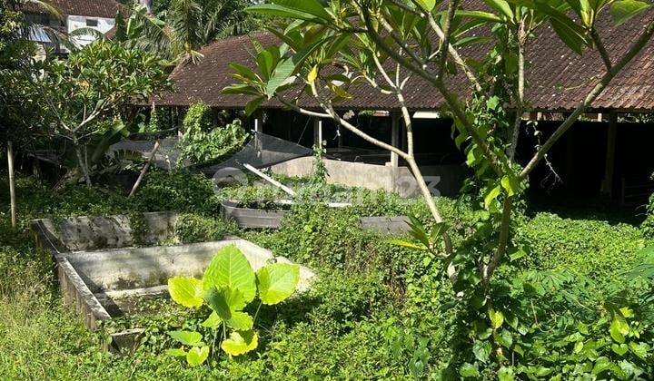 Tanah Kavling Siap Bangun di Kemenuh Ubud, Bali