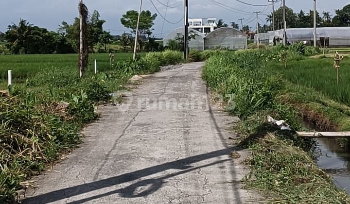 Dijual Tanah di Pantai Kedungu