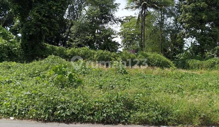 Disewakan Tanah Lokasi Premium Dilingkungan Nuanu Creative City