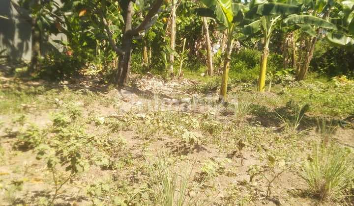 Dijual : Tanah Di Jl. Gatot Subroto Bojongbata Pemalang