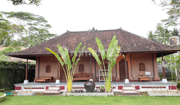 Beautiful House in Pejeng - Peaceful Living with Charming Rice Field View Potential (✅E