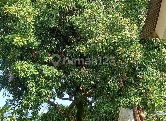 Jual Segera Villa Bagus Di Pamijahan Bogor