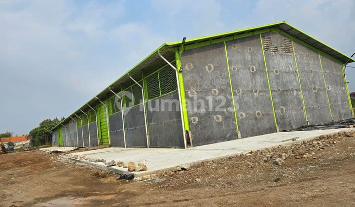 Gudang baru siap pakai sepatan