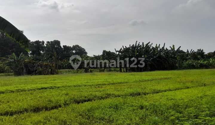 Dijual Tanah Industri Pasar Kemis Luas 4,5ha Tangerang