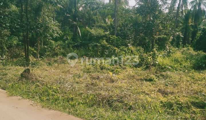Dijual Tanah Kebun di Tanjung Lesung