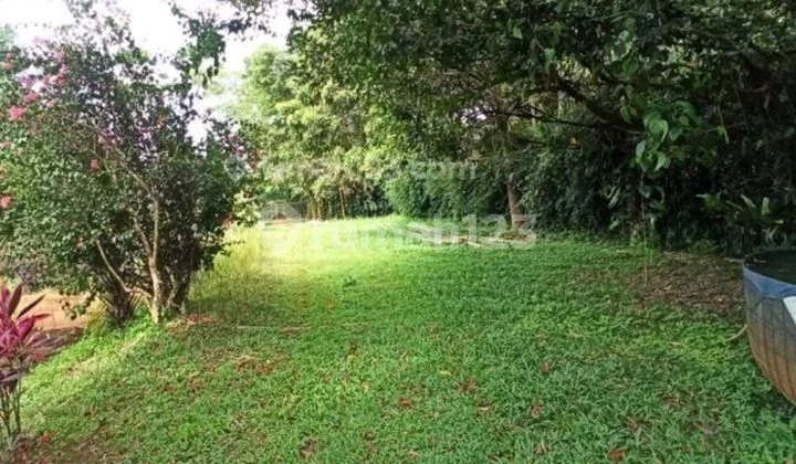 Dijual Murah Kavling Tanah Di Alam Sutera Tangerang Dijual Murah Kavling Tanah Di Alam Sutera Tangerang