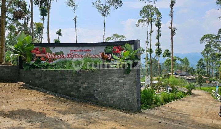 Tanah Kavling Eksklusif Untuk Dibangun Villa Di Jantung Wisata Ciwidey Bandung