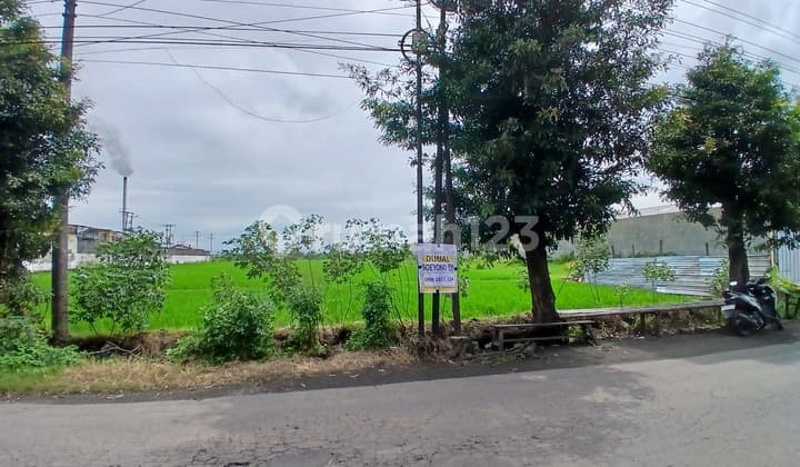 Sangat Potensi untuk Industri Tingal Satu2 Nya Lahan
