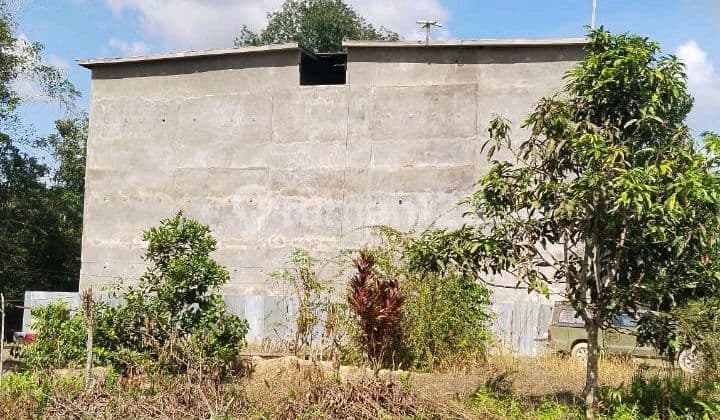 Rumah Walet Potensi Sudah Ada 302 Sarang Waletnya