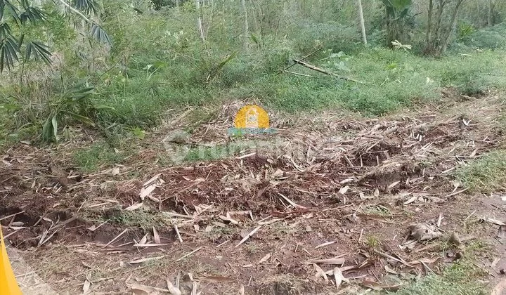 Potensi Untuk Investasi Potensi Untuk Investasi